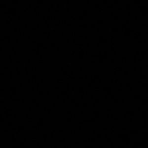 Meet your Posher, Bella